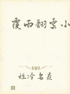 覆雨翻云小说封面