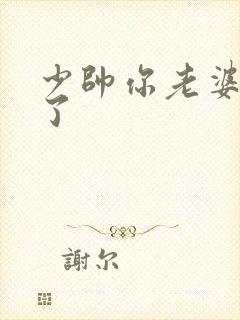 少帅你老婆又跑了封面