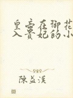 皇帝在御花园进入贵妃的小说