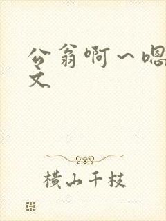 公翁啊～嗯啊h文封面