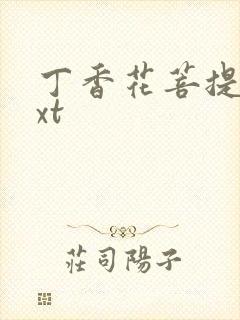 丁香花菩提树txt封面