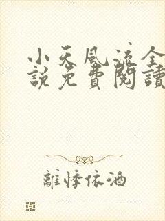 小天风流全集小说免费阅读