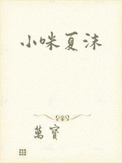 小咪夏沫封面