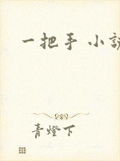 一把手 小说