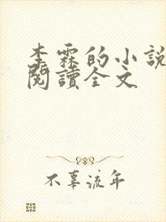 李霖的小说免费阅读全文