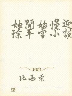 她开始慢迎迎合徐平雪小说封面