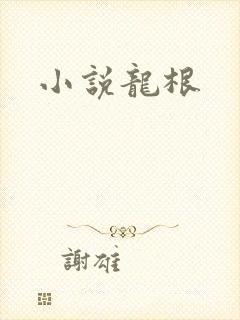 小说龙根
