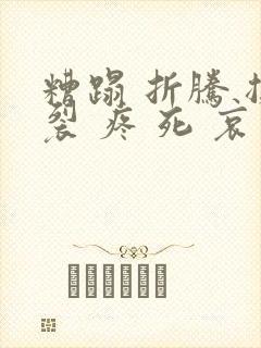 糟蹋 折腾 撕裂 疼 死 哀求封面