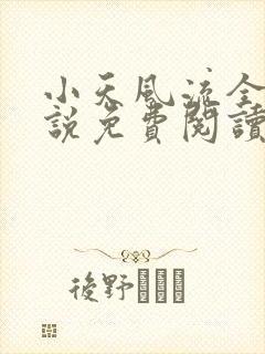 小天风流全集小说免费阅读