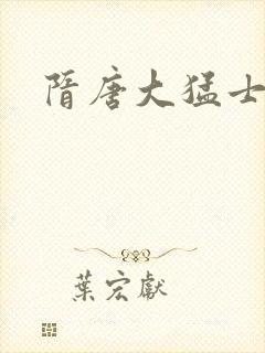 隋唐大猛士封面