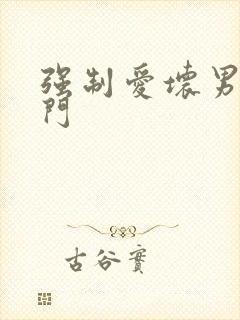 强制爱坏男送上门封面