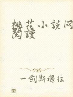 桃花小说网小说阅读