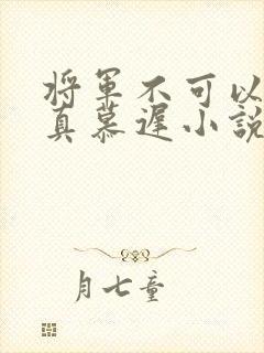 将军不可以魏云真慕迟小说笔趣阁