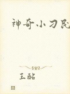 神奇小刁民