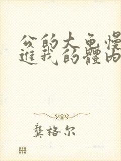 公的大龟慢慢挺进我的体内