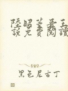 陆昭菱晋王的小说免费阅读