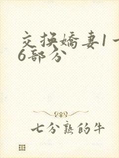 交换娇妻1一36部分