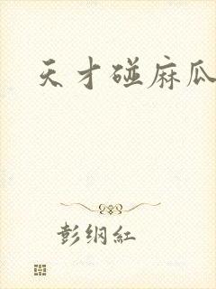 天才碰麻瓜封面