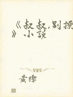 《叔叔,别撩我》小说封面