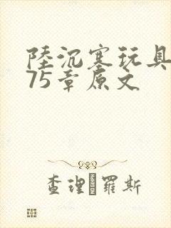 陆沉塞玩具高速75章原文