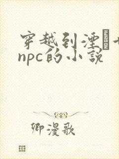 穿越到湮婸世界npc的小说