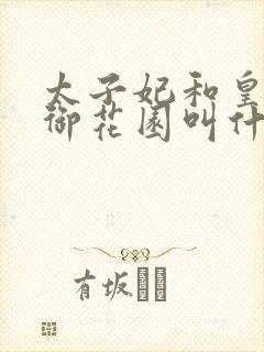 太子妃和皇帝在御花园叫什么小说