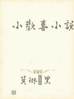 小欢喜小说