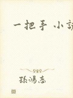 一把手 小说