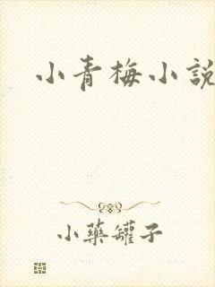 小青梅小说