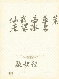 仙武帝尊叶辰的老婆排名