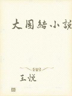 大团结小说全文