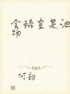 金鳞岂是池中之物封面