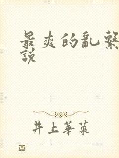 最爽的乱系列小说