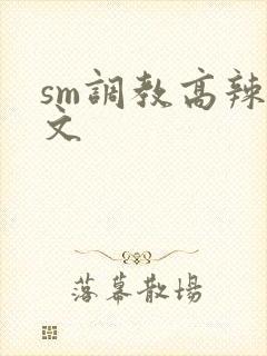 sm调教高辣h文