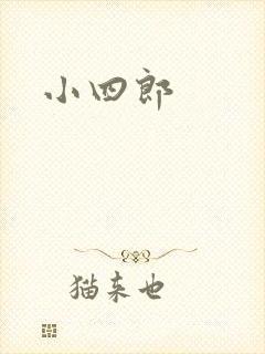 小四郎封面