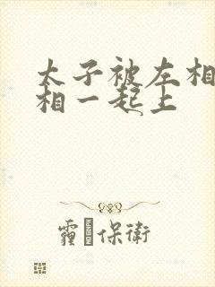 太子被左相和右相一起上