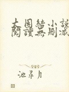 大团结小说在线阅读无删减