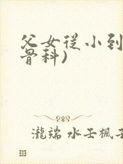 父女从小到大(骨科)