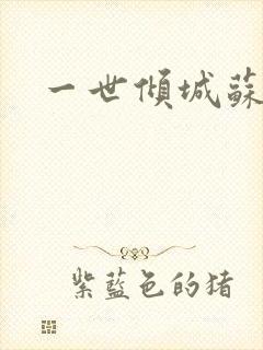 一世倾城苏小暖