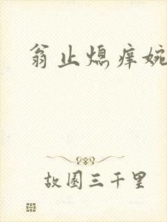 翁止熄痒婉燕封面