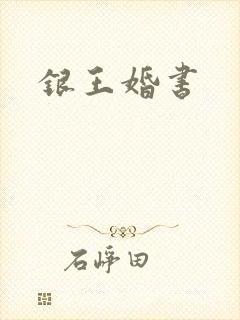 银王婚书封面