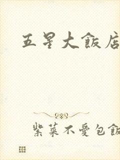 五星大饭店小说