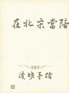 在北宋当陪房封面