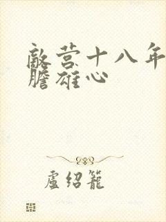 敌营十八年2虎胆雄心封面