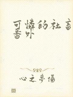 可怜的社畜最新番外