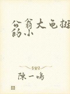 公翁大龟挺进我的小