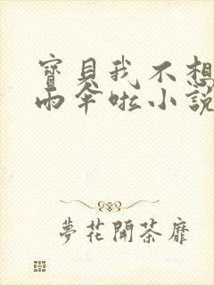 宝贝我不想带小雨伞啦小说