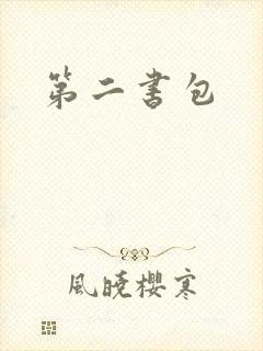 第二书包
