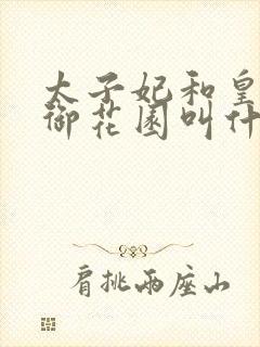 太子妃和皇帝在御花园叫什么小说