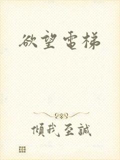 欲望电梯